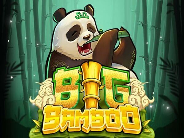 Temos alguns cassinos 100% dedicados a jogos de jackpot progressivo. É claro que ganhar o jackpot é muito mais difícil do que ganhar num casino normal. No entanto, a beleza disso é que você pode ganhar cada vez mais nos caça-níqueis. A diferença é que você sempre tem uma chance de ganhar muito.